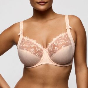 0161810 VEN Venus