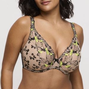 0163572 wild Bloom