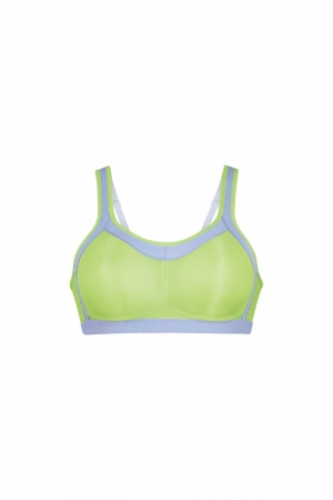 5529 lime light