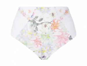 BCG0326 pastel iris