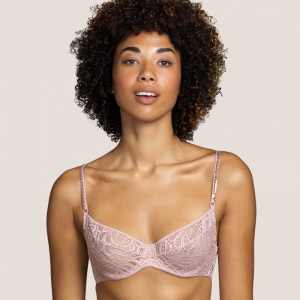 3309411 bois de rose