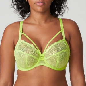 Sophora lime crush