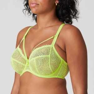 Sophora lime crush