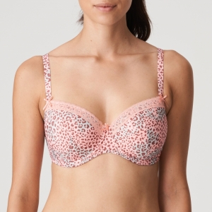 Livadi summer rose 