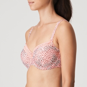 Livadi summer rose 