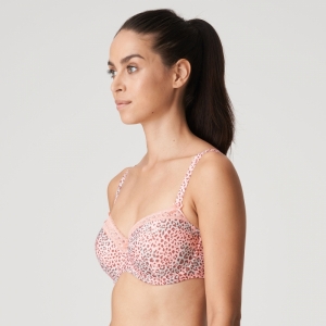 Livadi summer rose 