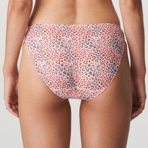 Livadi summer rose