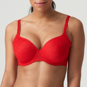 0241970 rood  