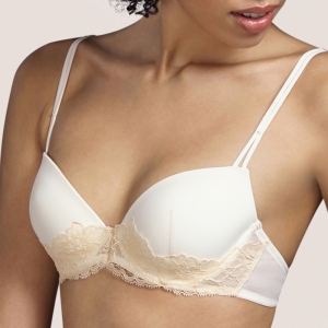 3308516 vintage natuur