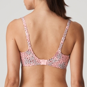 0142010 summer rose 