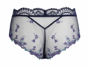 ACH0411 eclosion saphir