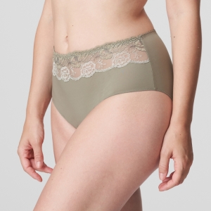 0562761 BTQ Botanique