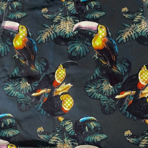RICASPAIN1010 print/blue