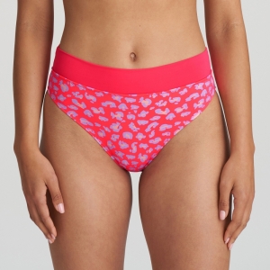 1005851 deep sea coral