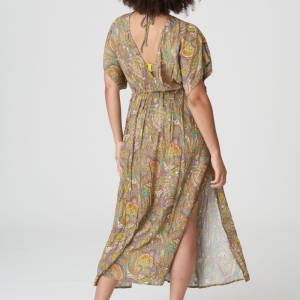 4009985 sunny paisley