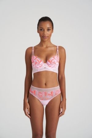 0502692 lily rose