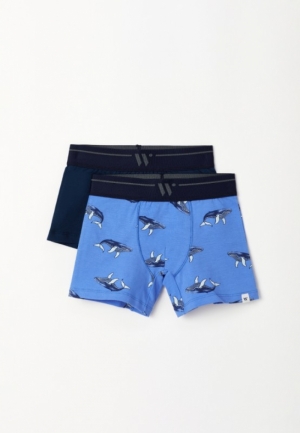 231-2-QLC-Z 057