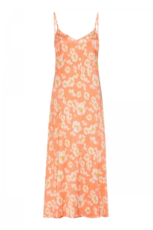 231-5-XDP-W 996
