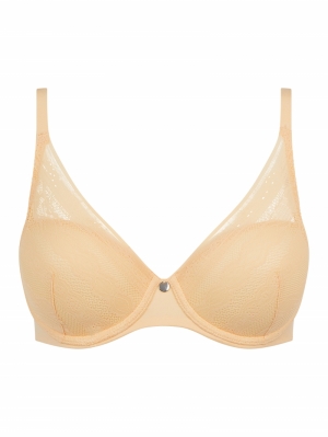C91820 sunflower yello