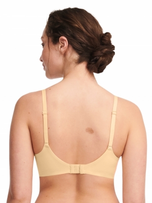 C91820 sunflower yello
