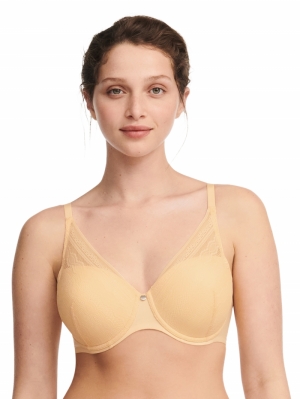C91820 sunflower yello