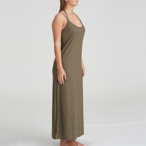 1006994 golden olive