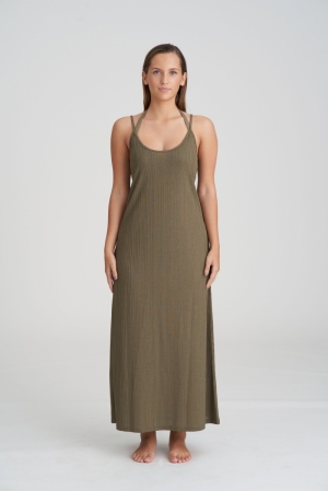1006994 golden olive