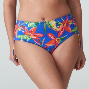 4011152 tropical rainfo