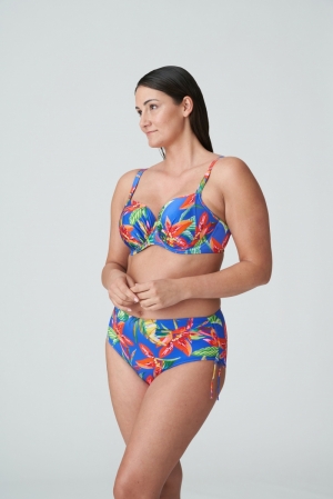 4011152 tropical rainfo