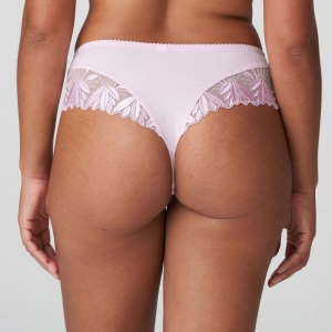 0663151 sweet violet