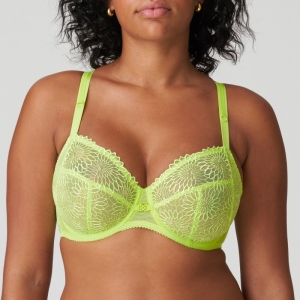 0163181 lime crush