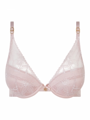 C21U20 english rose
