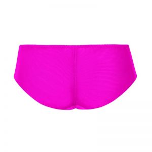 02228 rose samba