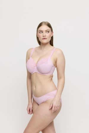 0163530 Spring rose