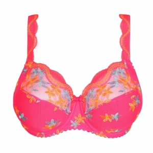 0163540 Blogger pink