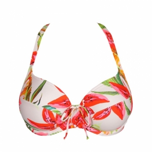 4012710 Calm tropics