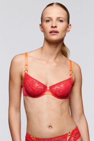 3501310 Hibiscus