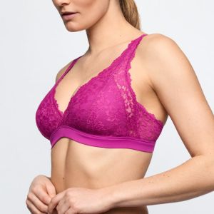 0103044 WIR Wild Rose