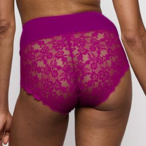 0503042 WIR Wild Rose